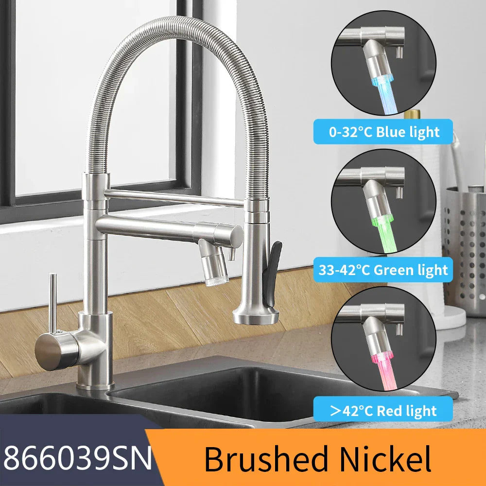 DecorBites™ LED Kitchen Faucet with Dual Spouts and Single Handle