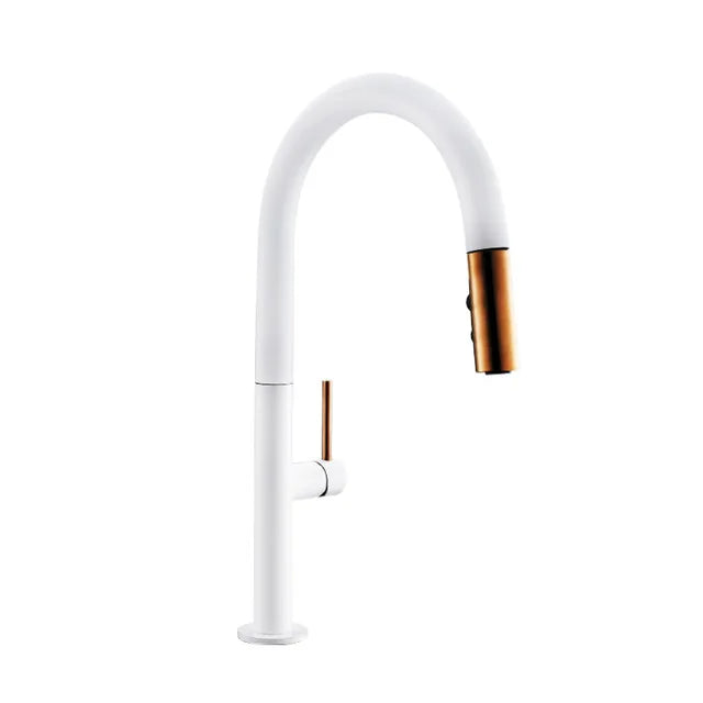 Black Kitchen Faucet Pull Out Spout