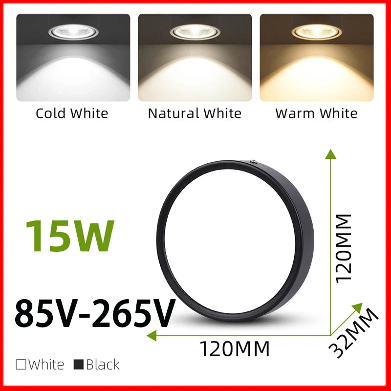 DecorBites™ LED Ceiling Lamp 220V Indoor Lighting Fixture for Kitchen Room & Platform