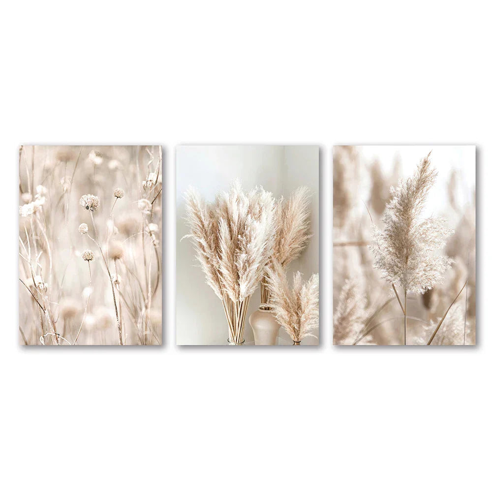 Set of three beige and cream-toned dried pampas grass wall art prints complementing decorbites™ white seascape canvas set