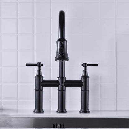 Pull Down Dual Handle Kitchen Faucet