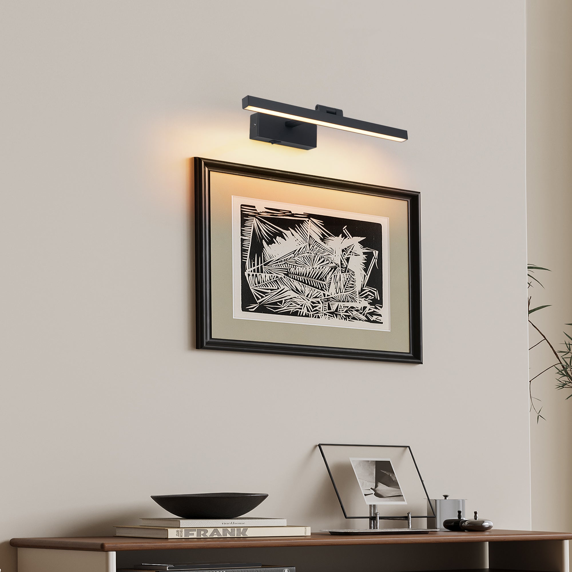 Black Dimmable LED Vanity Light