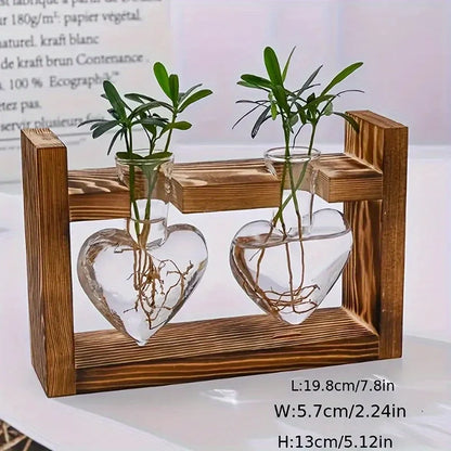 Heart-shaped glass vases with visible roots in a rustic wooden frame holding green spiral pine plants for home decor