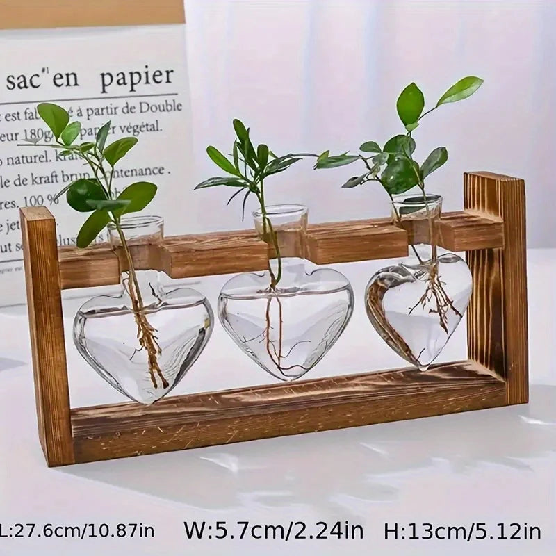Heart-shaped glass vase with visible roots and green foliage in a rustic wooden frame for home desk decoration