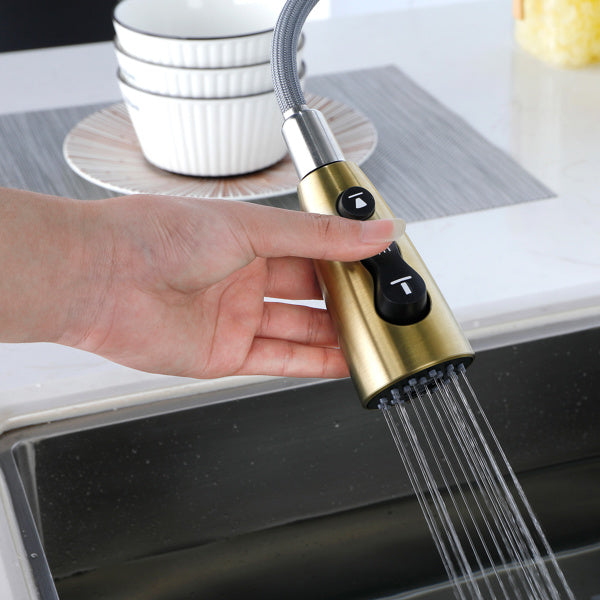 Kitchen Faucet With Pull-down Spray