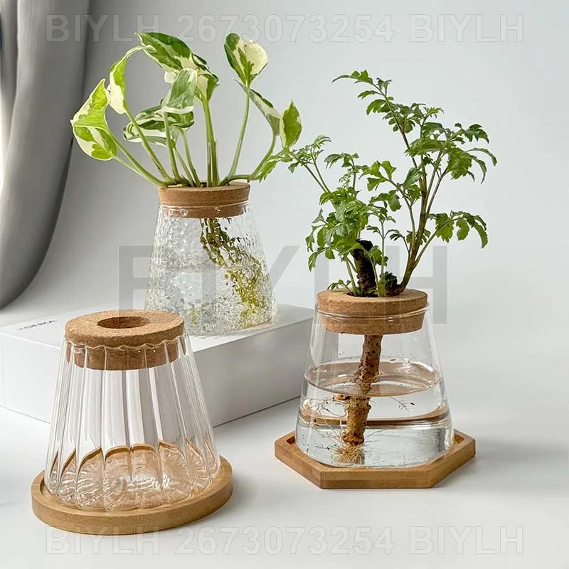 Clear glass hydroponic plant pots with wooden lids and bases featuring a textured fluted design for home decor