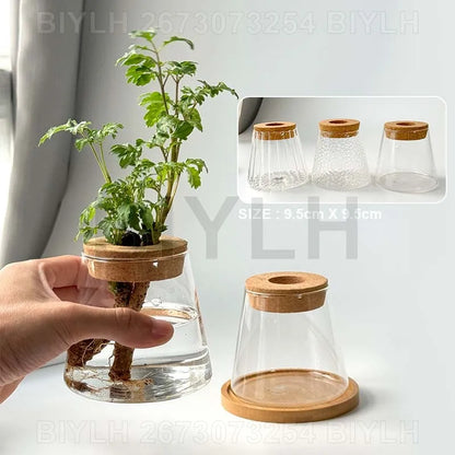 Clear glass hydroponic plant pot with cork lid and wooden base for indoor home decoration and garden use