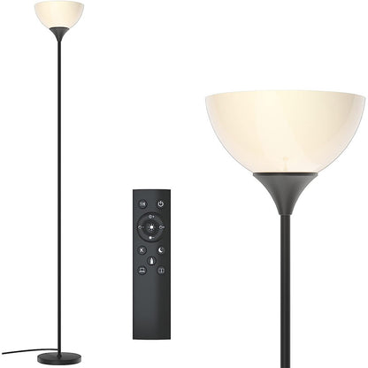 Simple Floor Lamp Living Room Bedroom