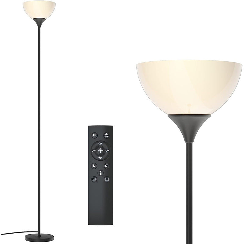 Black Iron Floor Lamp 20000-Hour LED Life