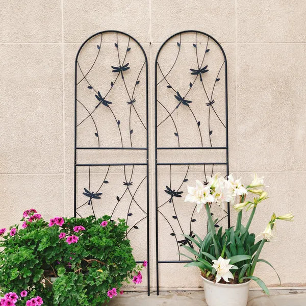 Black Metal Plant Trellis