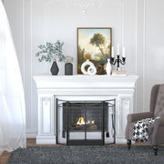 Black Folding Fireplace Screen