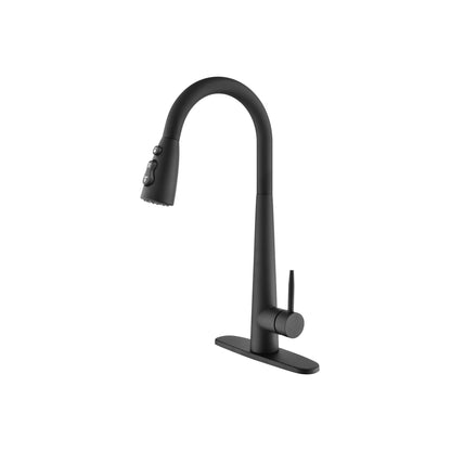 Kitchen Faucet With Pull-down Spray