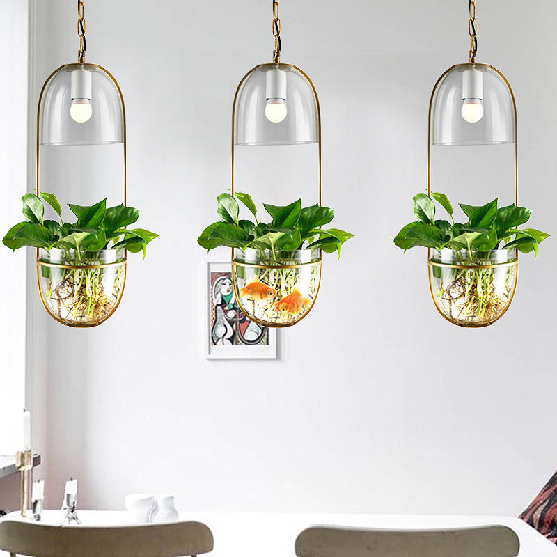 Glass Plant Hydroponic Chandelier Creative Chandelier