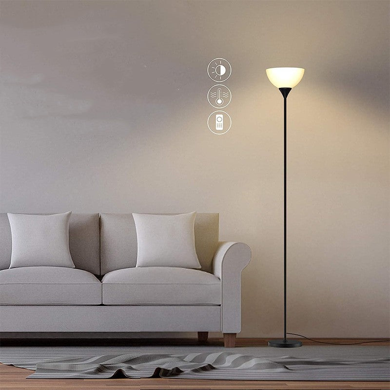 Black Iron Floor Lamp 20000-Hour LED Life