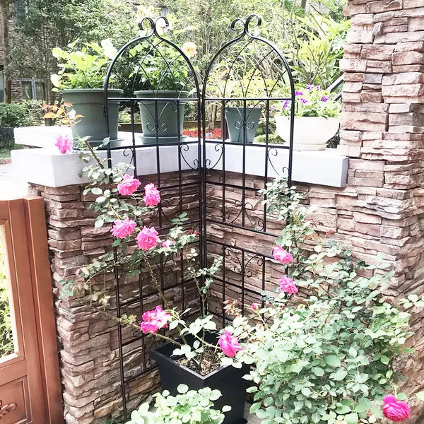 Metal Trellis 2-Pack Set
