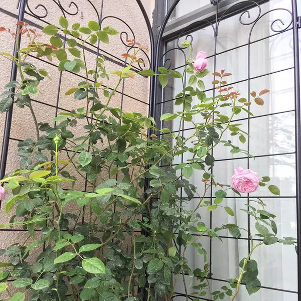 Elegant Metal Garden Trellis