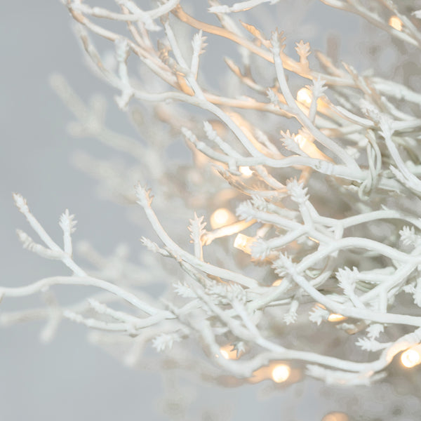 Snow-Flocked Fir Christmas Tree