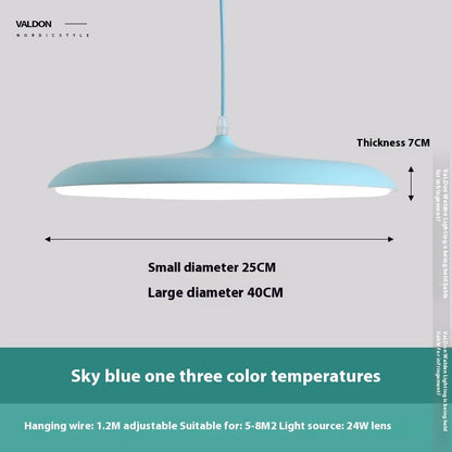 Nordic Modern Simple LED Chandelier Restaurant Chandelier Designer Chandelier