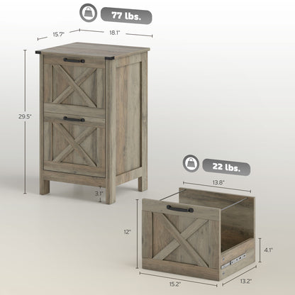 Vertical File Cabinet with 2 Drawers