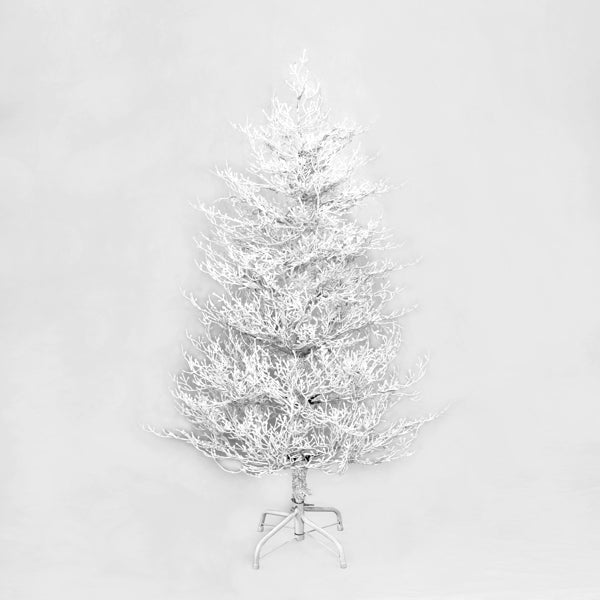 Snow-Flocked Fir Christmas Tree