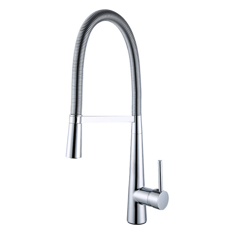 Fashion New Copper Kitchen Spring Faucet