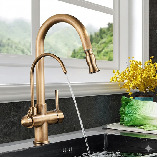 2-in-1 Kitchen Faucet with Filter Water Outlet