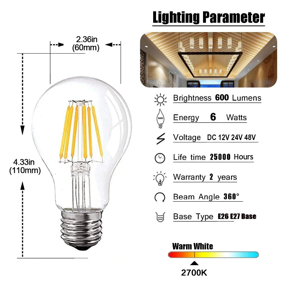 Daylight A19 Filament Bulb