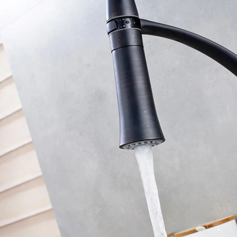 Chrome Kitchen Spray Head