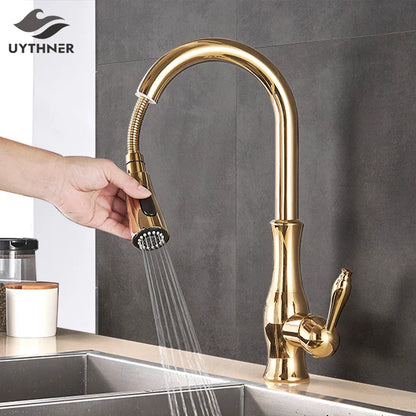 DecorBites™ Gold Swivel Spout Kitchen Faucet with Pull Down Sprayer