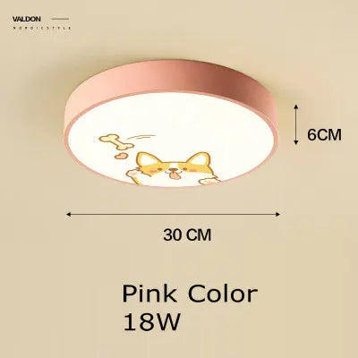 Acrylic LED Ceiling Light