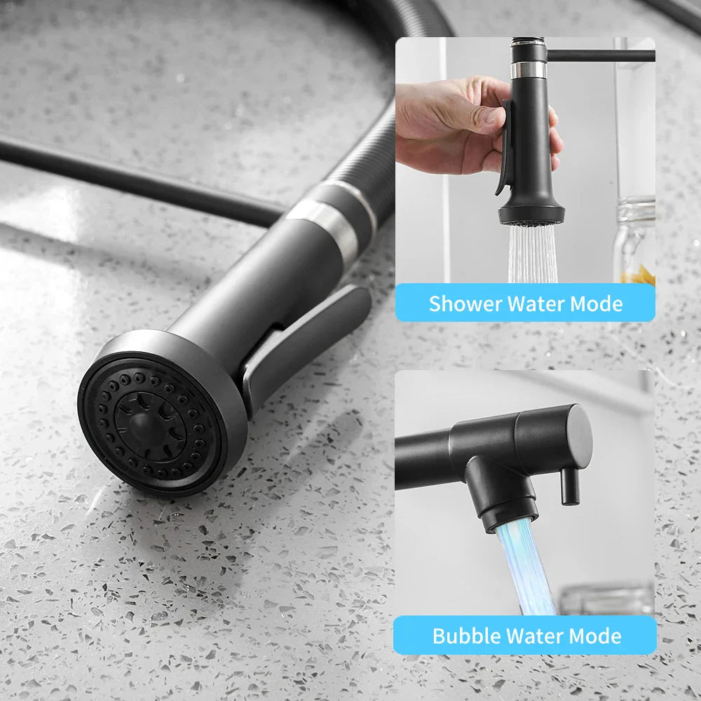DecorBites™ LED Kitchen Faucet with Dual Spouts and Single Handle