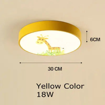 Acrylic LED Ceiling Light