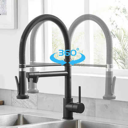 DecorBites™ LED Kitchen Faucet with Dual Spouts and Single Handle