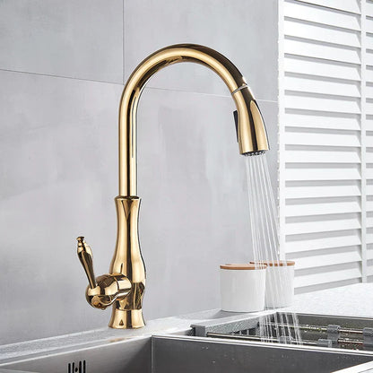 DecorBites™ Gold Swivel Spout Kitchen Faucet with Pull Down Sprayer