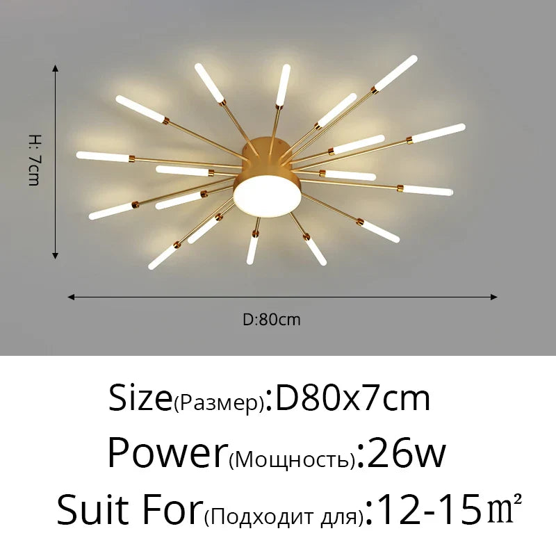 Acrylic Modern Ceiling Light
