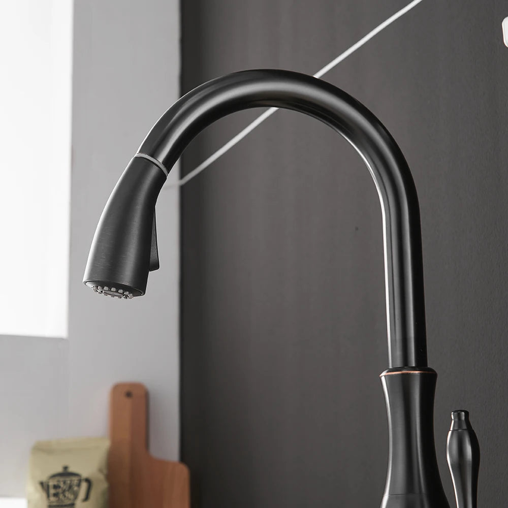 Black Gold Brass Kitchen Faucet Pull-Out Spray