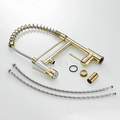 DecorBites™ Gold Spring Spout Kitchen Faucet - Single Pull Out Mixer Tap