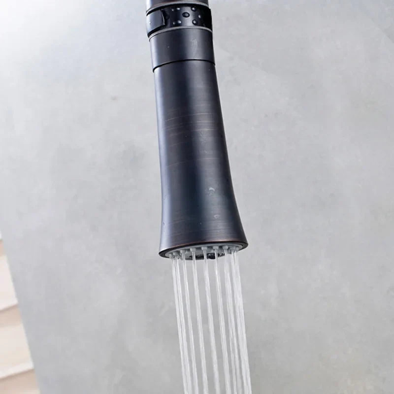 Chrome Kitchen Spray Head