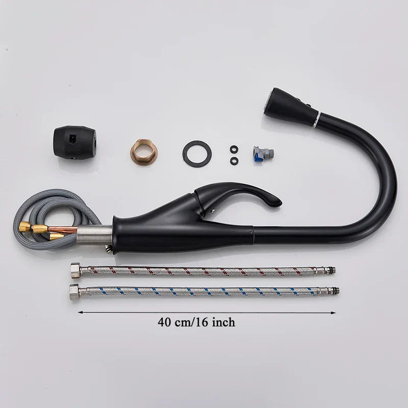 Black Pull-Out Kitchen Faucet Dual-Function Spout