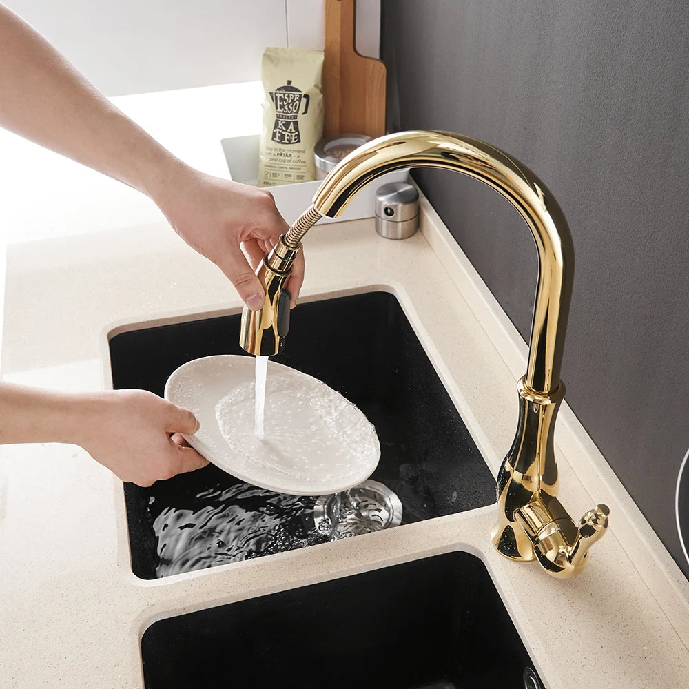 Black Gold Brass Kitchen Faucet Pull-Out Spray