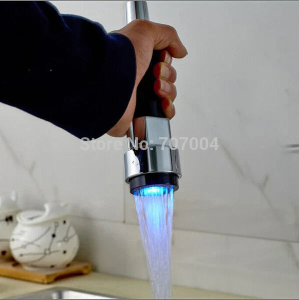 Chrome Pull-Out Faucet