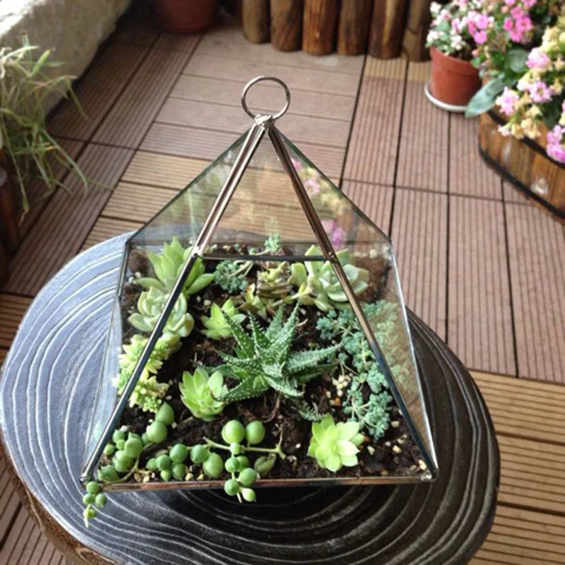 DecorBites™ Geometric Glass Vase for Succulents and Flowers
