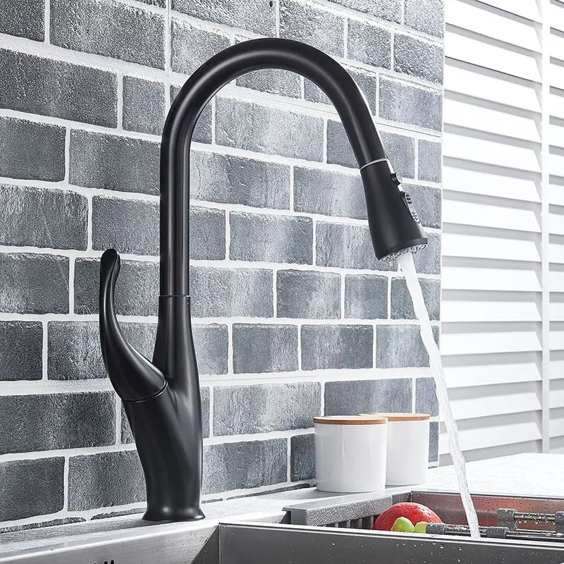 Black Pull-Out Kitchen Faucet Dual-Function Spout