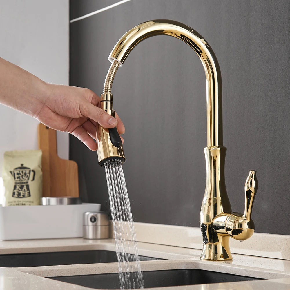 Black & Gold Pull Out Kitchen Faucet – Brass Kitchen Mixer Tap