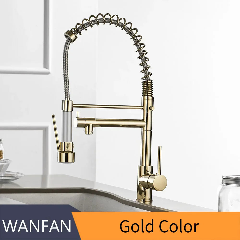 DecorBites™ Gold Spring Spout Kitchen Faucet - Single Pull Out Mixer Tap