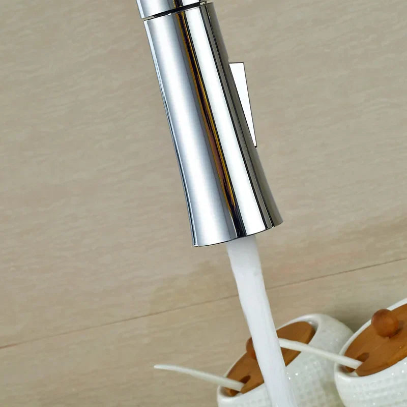 Chrome Kitchen Spray Head