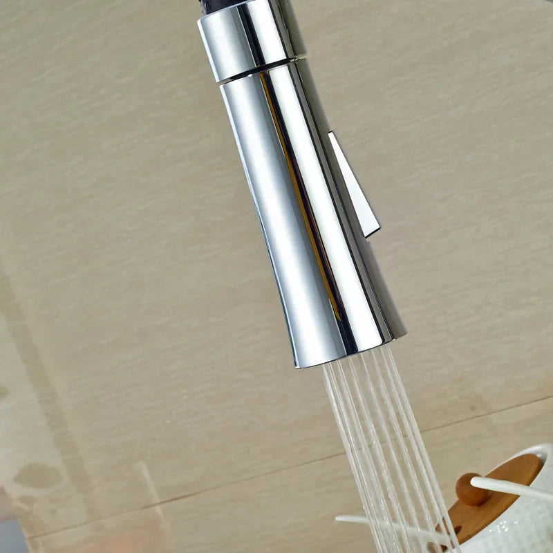 Chrome Kitchen Spray Head
