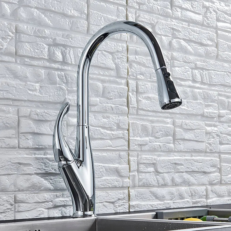 Black Pull-Out Kitchen Faucet Dual-Function Spout
