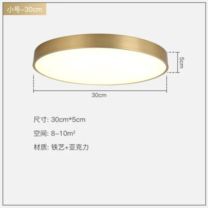 DecorBites™ Gold Acrylic LED Ceiling Light - Modern Ultra-Thin Surface, Nordic Design