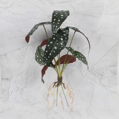 DecorBites™ Green Plant Wall Set for Indoor Decoration